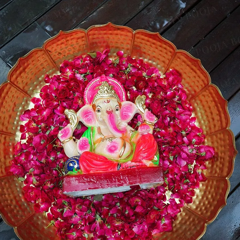 1FEET Gajavakra Eco-Friendly Ganpati | Plant-A-Ganesha