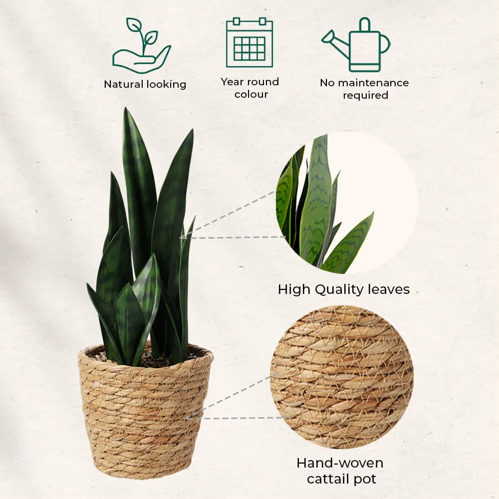 Artificial Plant in Cattail Pot - 38cm