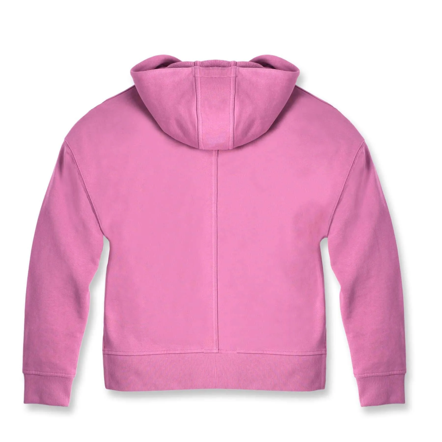 Carhartt Womens Tencel Fiber Series Loose Fit Graphic Hoodie 106918