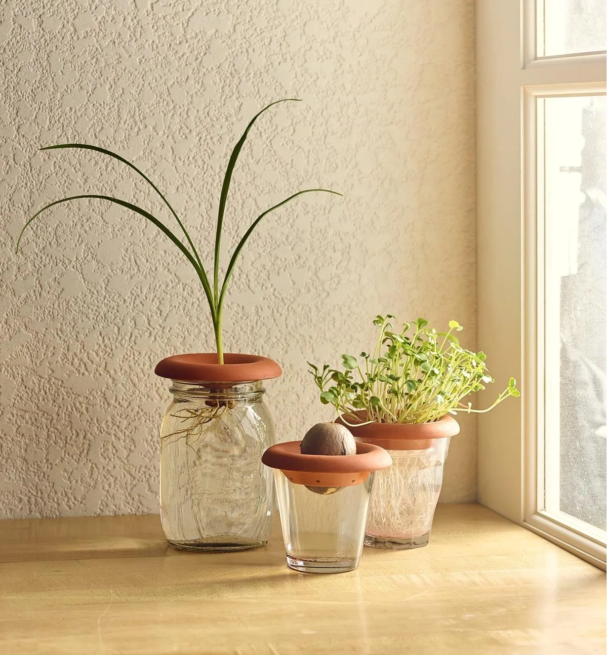 Kikkerland Terracotta Seed Sprouters