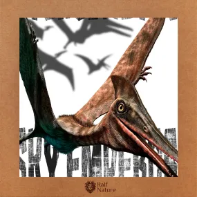 Pterodactyl Sky T-Shirt