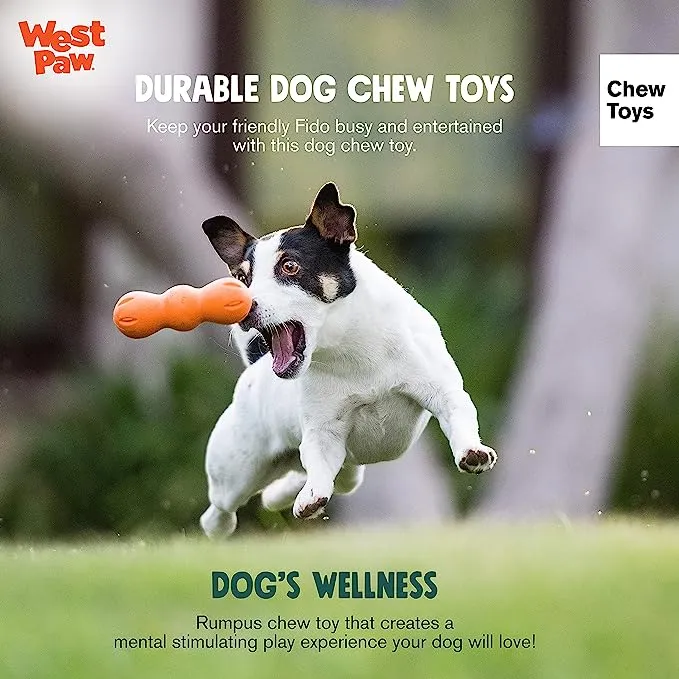 WEST PAW Zogoflex RUMPUS Dog Chew Toy